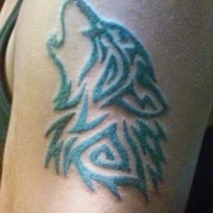 Meet your Posher, Shadow wolf9978